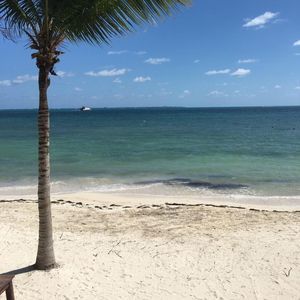 Meet your Posher, Jaime